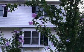 Room In Single Family House - Suburban Neighborhood In Boston